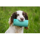 Canvas Launcher Dummy Green