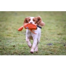 Launcher Bird Dummy Orange