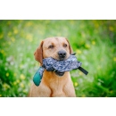 Launcher Bird Dummy Mallard