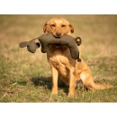 Mystique Rabbit dog dummy khaki