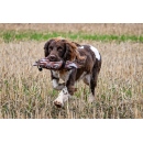 Sporting Saint Dummy Bird Rebhuhn 300g