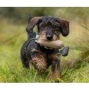 Sporting Saint Bird Dummy Small