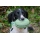Sporting Saint Retrieve Dummy